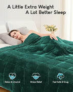 Cottonblue Weighted Blanket 15lbs for Queen Ded - Ultra Soft, Cozy Comfort Sherpa Blanket for Relax and Sleep, Heavy Bed Blankets with Cemaric Beads, 60x80 Inches,Green
