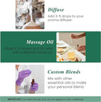 Handcraft Blends Eucalyptus Essential Oil – 1 Fl Oz – 100% Pure and Natural – Premium Grade Essential Oil for Diffuser and Aromatherapy, Skin, Massage, Candle and Soap Making Fragrance