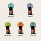 Cliganic Organic Essential Oils Set (Top 5 x 15ml) - 100% Pure Natural - Aromatherapy, Candle Making - Peppermint, Lavender, Eucalyptus, Lemongrass & Orange