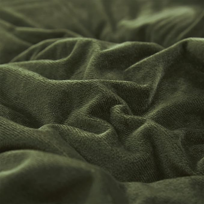 Luxlovery Army Green Velvet Comforter Set Queen Dark Green Flannel Bedding Comforter Blackish Green Minimalist Bedding Set Thick Soft Breathable Blanket Quilts Modern Winter Comforter for Women Men