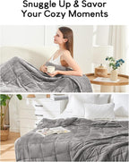 Cottonblue Weighted Blanket 17 lbs Queen Size, Flannel Shaggy Sherpa Weighted Blanket for Adults Comfortable Weighted Blankets for Calming and Relax, Bed Sofa Heavy Blankets, 60x80 inches, Grey
