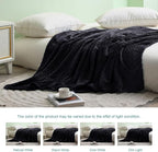 Exclusivo Mezcla Fleece Queen Size Blanket for Bed, 90x90 Inches Soft Cozy Jacquard Flannel Blankets, Lightweight Fuzzy Plush Warm for Women, Black