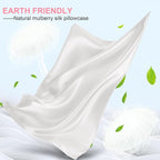 Mulberry Silk Pillow Cases Standard Size with Hidden Zipper, Ultra Smooth and Soft Breathable Cooling Silk Satin Pillowcase for Hair and Skin, Gifts for Women Men (Ivory, 20x26 Inches, 1 Pack)