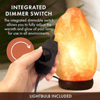 The Body Source Himalayan Salt Lamp | 8-10 in (7-11 lb) | Natural Salt Rock Lamp with Dimmer Switch & Wooden Base | Night Light & Bulb Replacement (Pack of 2)