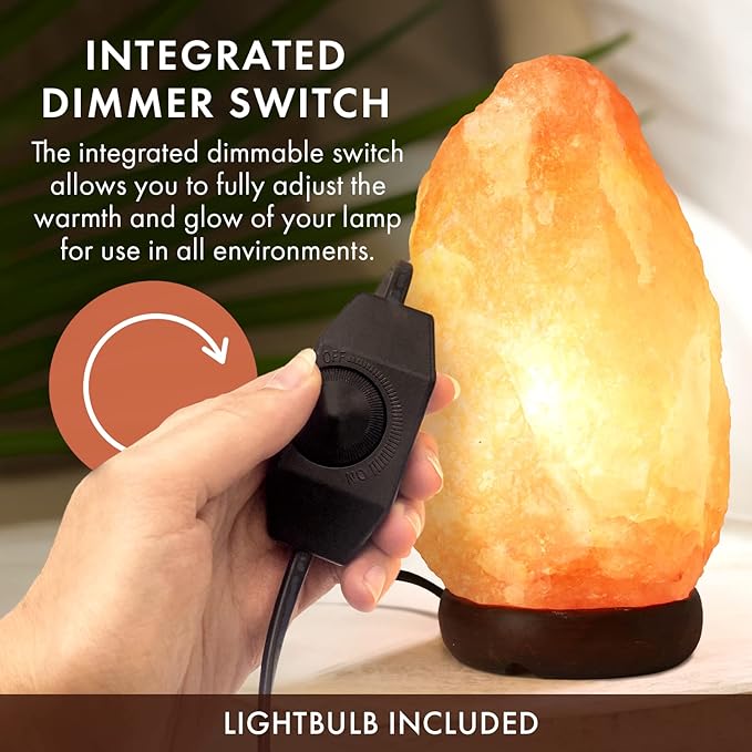 The Body Source Himalayan Salt Lamp 10-12 Inches (11-15lb) | Includes Dimmer Switch | Natural Salt Rock Lamp with Handcrafted Wooden Base & Night Light (Bulb Replacement) (Pack of 2)