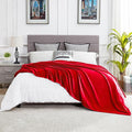 DREAMNINE Oversized Soft Fuzzy Flannel Fleece Throw Blanket Twin Size 60" x 80", Decorative Solid Lightweight Fluffy Velvet Bed Blankets, Luxury Big Cozy Shag Plush Microfiber Blanket for Bedroom, Red