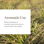 Lemongrass Essential Oil by Young Living, 15 Milliliters, Topical and Aromatic