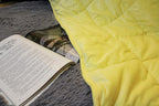 ALANSMA Reversible Weighted Blanket for All Season, Luxury Velvet, Warm and Cool, Adult 10Lb Yellow Weighted Blanket, Enjoy Sleeping Anywhere(Light Yellow,48"x72" 10lbs)