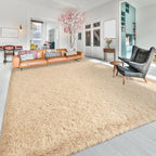 Softlife Beige Area Rug for Bedroom, Fluffy Shag Plush Rugs for Living Room Girls, Shaggy Throw Soft Fuzzy Small Kids Carpet for Dorm Bedside Ultra Cozy Non-Slip Indoor Decor, 4x5.3 Feet