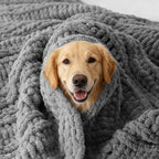 Battilo Light Grey Chunky Knit Throw Blanket for Couch, Thick Warm Cozy Soft Chenille Throw Blanket, Handmade Cable Knit Blanket for Sofa,Bed, Living Room, 50"x60"