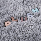 Noahas Door Mat Indoor Entrance,2x3 Shaggy Small Grey Area Rugs for Entryway,Non-Slip Fluffy Entry Bedroom Rug,Soft Plush Bedside Throw Kids Carpet