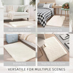 Fluffy Cream Rug Small 2x3 Area Rugs for Bedroom Living Room, Non-Slip Ultra Soft Area Rugs for Pet, Kids Room, Girls Room, Dorm, Study, Office, Entryway, Playroom, Easy Clean,Modern Carpet