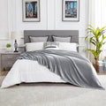 DREAMNINE Oversized Soft Plush Fleece Throw Blanket Twin Size 60" x 80", Decorative Large Solid Lightweight Fluffy Velvet Bed Blanket, Big Cute Cozy Accent Gray Fuzzy Flannel Blanket for Bedroom, Grey