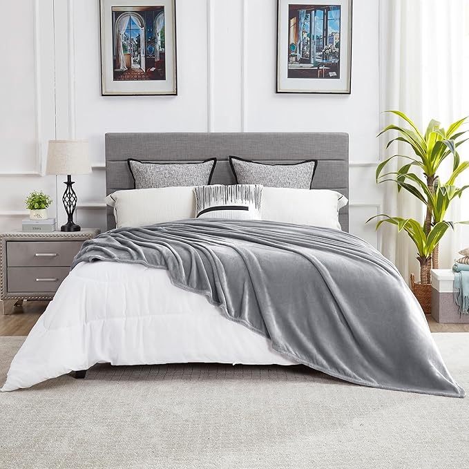 DREAMNINE Oversized Soft Plush Fleece Throw Blanket Twin Size 60" x 80", Decorative Large Solid Lightweight Fluffy Velvet Bed Blanket, Big Cute Cozy Accent Gray Fuzzy Flannel Blanket for Bedroom, Grey
