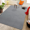 Softlife 4x6 Area Rug for Bedroom Living Room, Solid Grey Non-Slip Fluffy Carpet with Soft Low Pile for Kids Boys Girls, Machine Washable Fuzzy Aethetic Rugs Home Dorm Decor