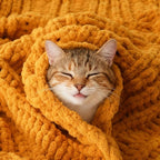 Battilo Mustard Yellow Throw Blanket for Couch, Chunky Knit Throw Blanket, 50"x60", Gold Fall Throw, Super Soft Cozy Warm Chenille Knit Blankets for Bed, Sofa, Living Room