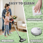 5x7 Area Rugs for Living Room Rug: Soft Fluffy Shag Mint Green Rugs for Bedroom, Non-Slip Large Fuzzy Plush Rug Indoor Floor Carpet for Nursery Kids Boys Girls Room, Dorms, Playroom, Modern Home Decor