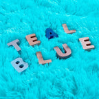 Noahas Fluffy Teal Blue 4x6 Area Rugs for Bedroom Living Room,Thick Shag Throw Floor Carpet,Soft Shaggy Bedside Non-Slip Plush Dorm Nursery Kids Rug