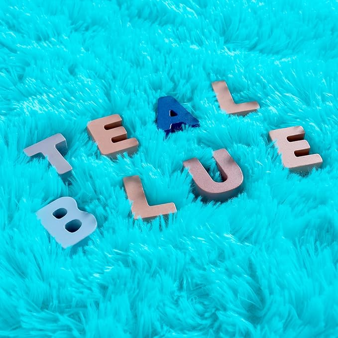 Noahas Fluffy Teal Blue 4x6 Area Rugs for Bedroom Living Room,Thick Shag Throw Floor Carpet,Soft Shaggy Bedside Non-Slip Plush Dorm Nursery Kids Rug