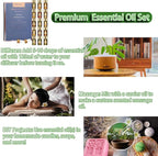 Essential Oils Set - Top 15 Scents for Diffuser, Humidifier, Skin Care, Aromatherapy, Massage, Candle & Soap Making - Fragrance Gift Set (5ml)