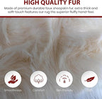 LAMBZY Bear Skin Rug Super Soft Fluffy Faux Fur for Bedroom Floor Sofa Living Room High-Density Plush Shaggy Carpet Sofa Cover Bedside Sheepskin Rug (3'x5', Cream)