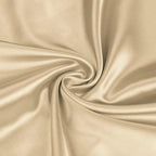 BEDELITE Satin Body Pillow Cover, Super Soft and Cooling Body Pillow Pillowcase for Hair and Skin, Breathable Silky Full Long Pillowcase Cover(20"x54", Champagne)
