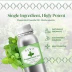 Siva Peppermint Essential Oil - 16 Fl Oz – 100% Natural Peppermint Oil - for Diffuser, Face, Skin Care, Aromatherapy, Hair Care, Scalp and Body Massage