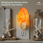 Nautical Crush Trading Seashell Night Light – Beach Night Light with Harpa Shell Light for Bathroom – Sea Shell Lamp – Seashell Lamp Plug Into Wall