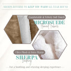 Elegant Comfort Throw Blanket, Reversible Sherpa Flannel, Ultra-Soft, Fuzzy, Cozy and Plush- All Season Lightweight Decorative Throw, 50 x 60 inches, Solid Sherpa Throw, Taupe