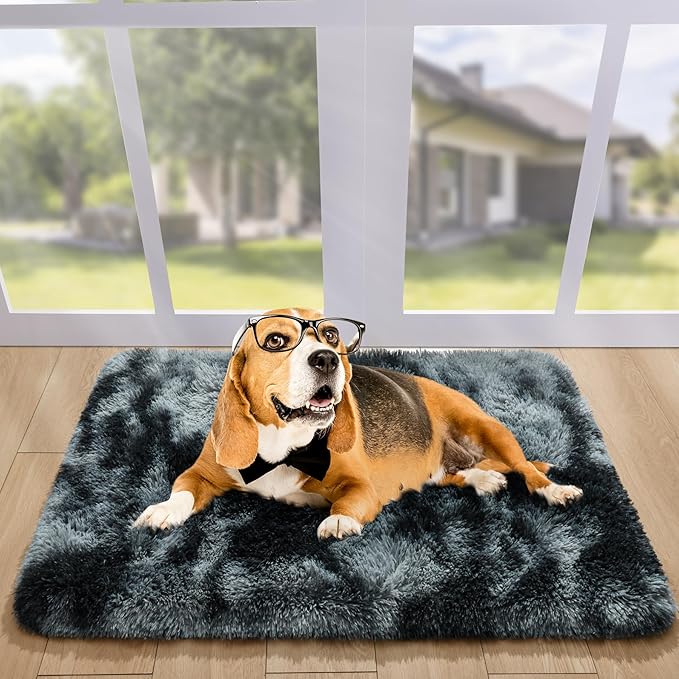 Noahas Door Mat Indoor Entrance,2x3 Shaggy Small Tie-Dyed Black and Grey Area Rugs for Entryway,Non-Slip Fluffy Entry Bedroom Rug,Soft Plush Bedside Throw Kids Carpet