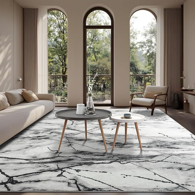 CRYPTOLITE Area Rugs 8x10 Rug for Living Room Abstract Washable Rug with Non-Slip Backing Low Pile Area Rug for Bedroom, Dining Room, Silver&Grey
