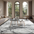 CRYPTOLITE Area Rugs 8x10 Rug for Living Room Abstract Washable Rug with Non-Slip Backing Low Pile Area Rug for Bedroom, Dining Room, Silver&Grey