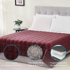 L'AGRATY Weighted Blanket for Adult - 60"x80" 15lbs Minky Dots Heavy Blanket with Glass Beads Soft Breathable for All-Season Summer Fall Winter Thick Comfort for Sleeping