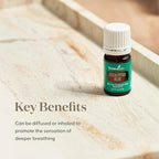 Young Living Eucalyptus Blue Essential Oil | 5 ml | Premium, Invigorating Botanical Extract | Crisp, Refreshing Aroma for Diffusers, Wellness, Comfort, & Soothing Aromatherapy Experience