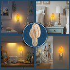 Nautical Crush Trading Seashell Night Light – Beach Night Light with Harpa Shell Light for Bathroom – Sea Shell Lamp – Seashell Lamp Plug Into Wall