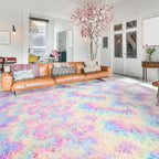 Softlife Area Rug for Living Room, Fluffy Shag Plush 5x8 Rainbow Rugs for Bedroom Girls Kids, Shaggy Soft Fuzzy Tie Dyed Large Carpet for Dorm Bedside Ultra Cozy Non-Slip Indoor Decor