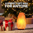 WBM LLC Himalayan Glow Natural Pink Salt Lamp, Crystal Salt Lamp Night Light with (ETL Certified) Brightness Control Dimmer Switch, Wooden Base & Salt Lamps Bulb | 6-8 LBS, Model Number: 1001