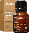 Cliganic Organic Cinnamon Leaf Essential Oil, 100% Pure Natural for Aromatherapy | Non-GMO Verified