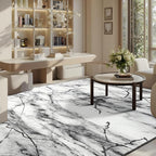 CRYPTOLITE Abstract Area Rug Washable Rug with Non-Slip Backing Low Pile Area Rugs for Living Room, Bedroom, Dining Room,4x6, Silver&Grey