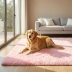 duduta Pink Fluffy Plush Rug 3x5 ft, Shag Furry Rectangle Rug for Bedroom Nursery Living Room Home Decor