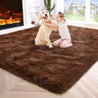 Noahas Fluffy Brown 4x6 Area Rugs for Bedroom Living Room,Thick Shag Throw Floor Carpet,Soft Shaggy Bedside Non-Slip Plush Dorm Nursery Kids Rug