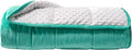 ALANSMA Reversible Weighted Blanket for All Season, Luxury Velvet, Warm and Cool, Adult 15Lb Green Weighted Blanket, Enjoy Sleeping Anywhere(Light Green,60"x80" 15lbs)