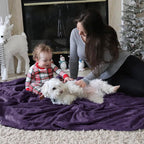 Bedsure GentleSoft Fleece Throw Blanket Purple - 300GSM Blankets for Couch, Sofa, Bed, Soft Lightweight Plush Cozy Throws for Toddlers, 50x60 inches