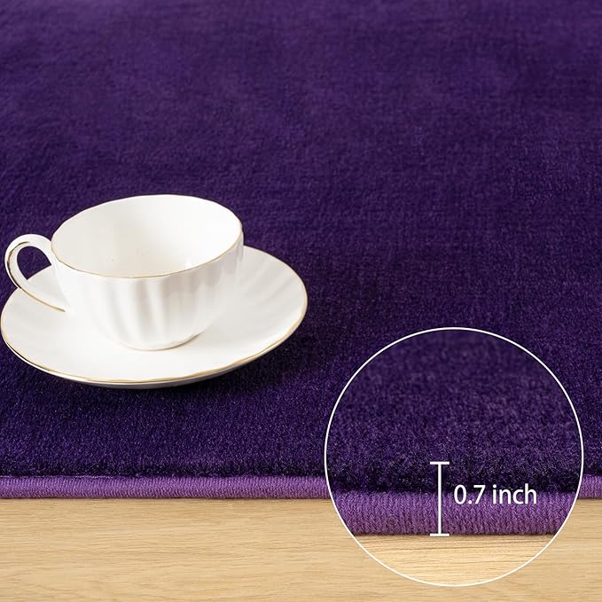 Softlife Purple Area Rug for Bedroom Living Room, Solid Non-Slip 5x7 Fluffy Carpet with Soft Low Pile for Kids Boys Girls, Machine Washable Fuzzy Aethetic Rugs Home Dorm Decor