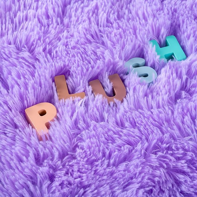 Noahas Fluffy 3x5 Purple Rugs for Bedroom Girls,Shaggy Kids Rug,Thick Shag Throw Floor Carpet,Soft Non-Slip Dorm Nursery Area Rugs for Living Room Home Decor