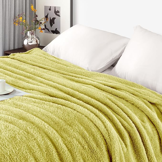 Exclusivo Mezcla Fleece Bed Blankets Queen Size, Ultra Soft, Lightweight and Fuzzy Light Green Blanket for Women, Home Decor, 90x90 Inches