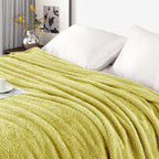 Exclusivo Mezcla Fleece Light Green Throw Blanket for Couch Sofa, Ultra Soft, Lightweight and Fluffy Blankets for Women, All Season, 50x60 Inches