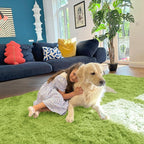 OLANLY 6x9 Machine Washable Large Area Rugs for Living Room, Bedroom, Soft Fluffy Shaggy Bedside Rug, Indoor Floor Carpet for Kids Girls and Boys, Dorms, Nursery, Home Decor Aesthetic, Grass Green