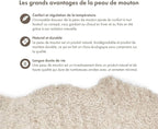 Nordic Sheep Real Sheepskin Rug Short Hair 2x3 ft | Bedside Rugs for bedrooms, Sofa, Chair or Dining Table | Each Sheepskin is Unique and Created by Nature | Small Fluffy Rug in Beige
