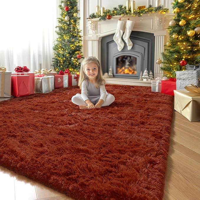 Amdrebio Terracotta Rust Area Rugs for Bedroom Kids Room, Fluffy Fuzzy Shaggy Furry Small Rug 3x5 for Living Room Decor Aesthetic, Cute Plush Shag Rustic Carpet for Dorm Nursery Classroom Playroom